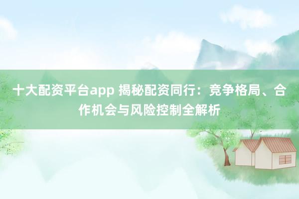 十大配资平台app 揭秘配资同行：竞争格局、合作机会与风险控制全解析