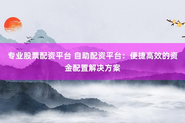 专业股票配资平台 自助配资平台：便捷高效的资金配置解决方案