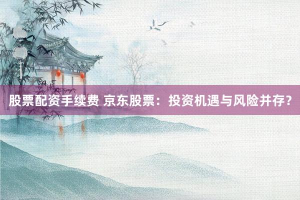 股票配资手续费 京东股票：投资机遇与风险并存？
