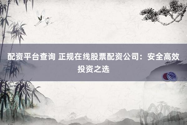 配资平台查询 正规在线股票配资公司：安全高效投资之选