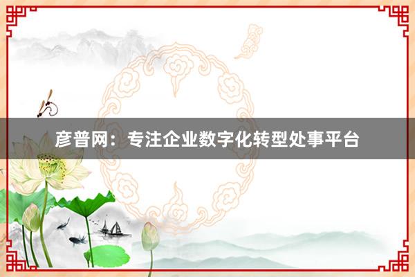 彦普网：专注企业数字化转型处事平台