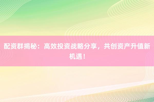 配资群揭秘：高效投资战略分享，共创资产升值新机遇！