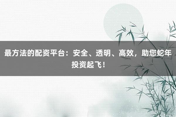 最方法的配资平台：安全、透明、高效，助您蛇年投资起飞！