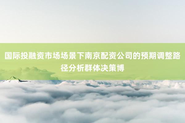 国际投融资市场场景下南京配资公司的预期调整路径分析群体决策博